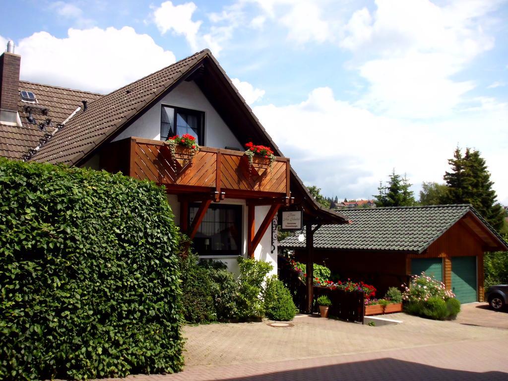 Apartmenthaus - Haus Am Schultal, Braunlage Exteriér fotografie