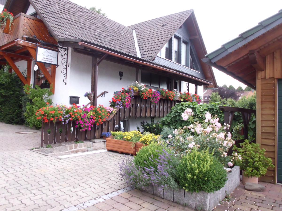 Apartmenthaus - Haus Am Schultal, Braunlage Exteriér fotografie